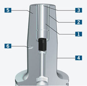 COllet-takyab-haimer-132